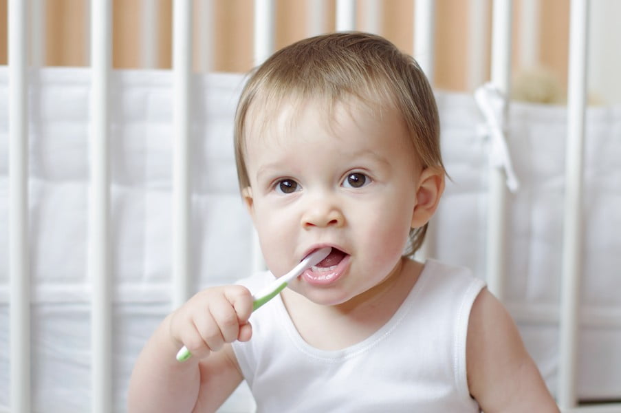 baby age of 1 year cleans teeth