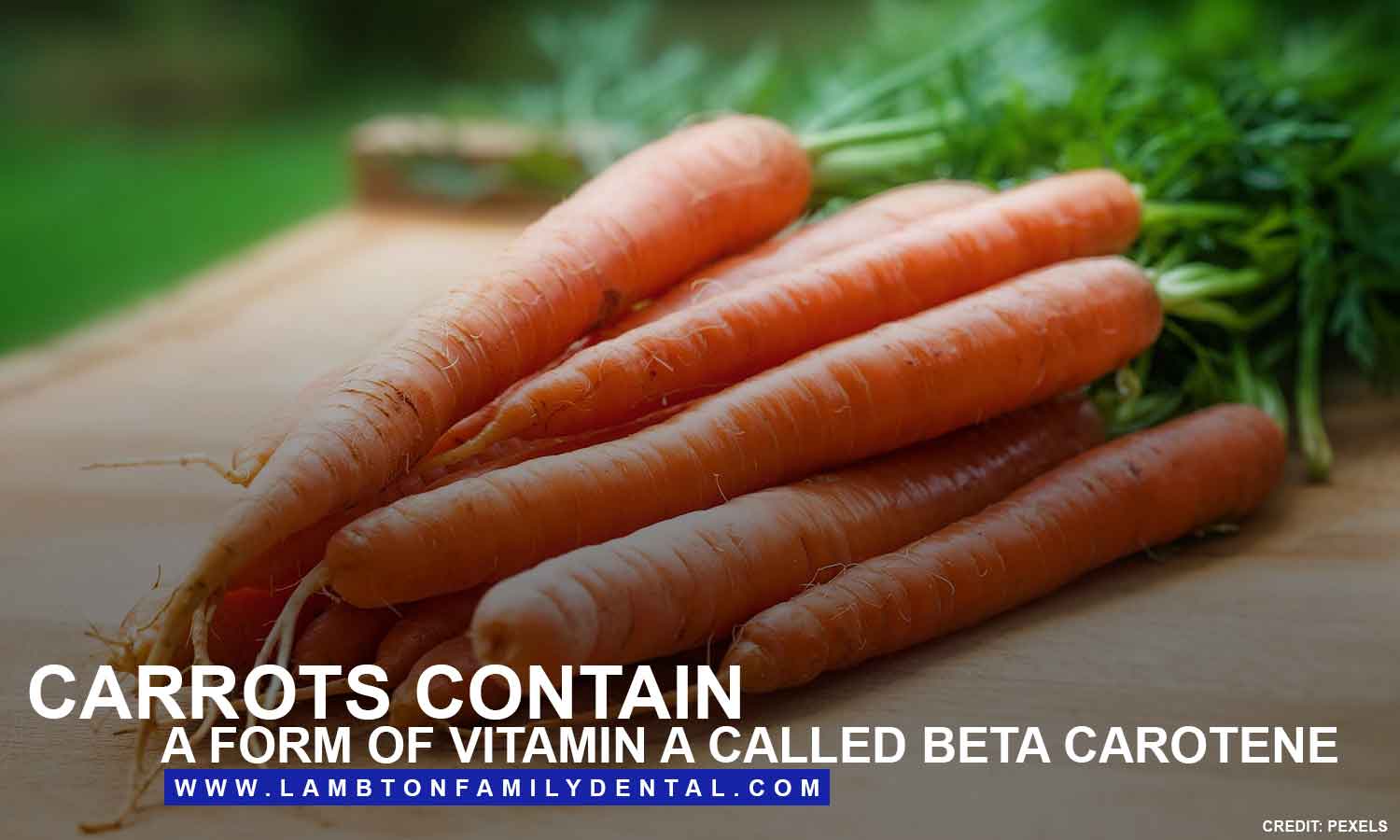Carrots contain a form of vitamin A called beta carotene