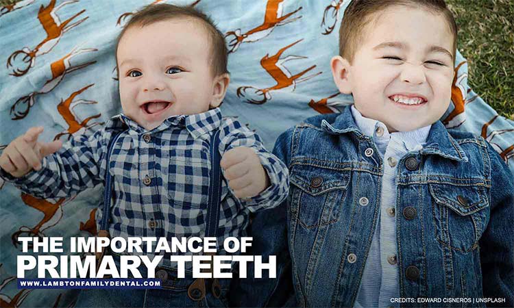 The-Importance-of-Primary-Teeth-opt
