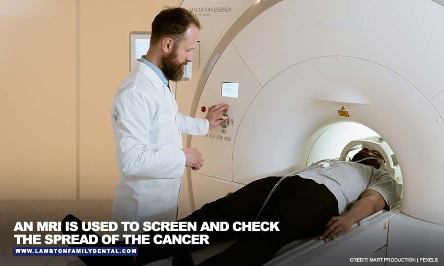 An MRI is used to screen and check the spread of the cancer