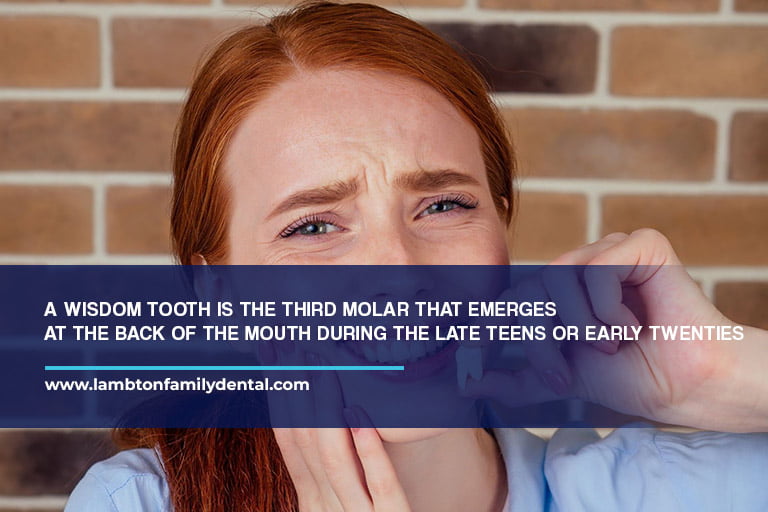 A wisdom tooth is the third molar that emerges at the back of the mouth during the late teens or early twenties