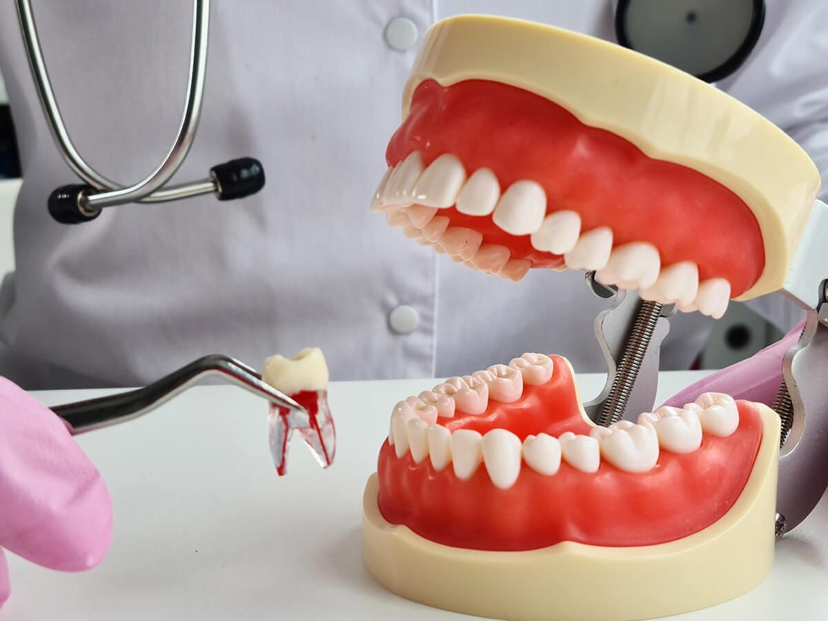 Trust-Your-Smile-to-Lambton-Family-Dental